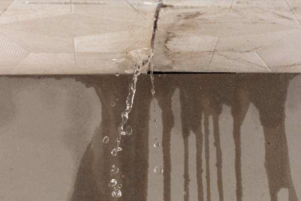 Professional Commercial Water Damage Restoration technician working in Branchville, NJ
